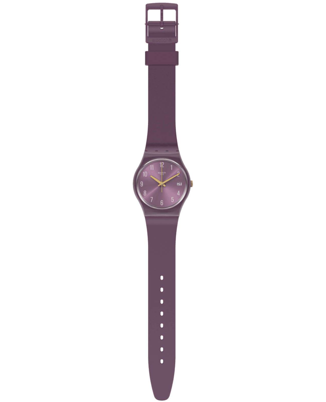 Swatch Swatch Gent Standard GV403 , наручные мужские часы фото под углом