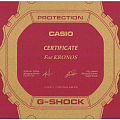Часы Casio G-Shock GA-110DC-2A фото 8