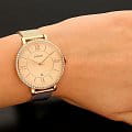 Fossil ES4628