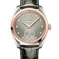 Omega 22023382060001