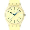Swatch SO29J102