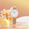 Daniel Wellington DW00100528