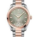 Omega 22020382010001