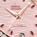 Omega 22025342060001