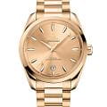 Omega 22050382008001