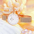 Daniel Wellington DW00100528