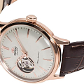 Часы Orient Automatic RA-AG0004S фото 3