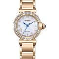 Citizen EM1123-89D