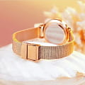 Daniel Wellington DW00100528