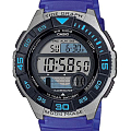 Часы Casio Collection WS-1100H-2A