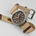 Hamilton H69439901